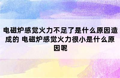 电磁炉感觉火力不足了是什么原因造成的 电磁炉感觉火力很小是什么原因呢